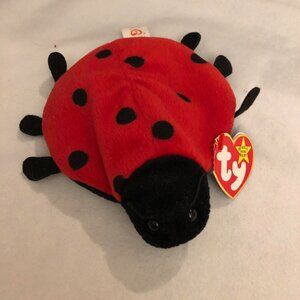 Lucky the Ladybug Ty Beanie Baby